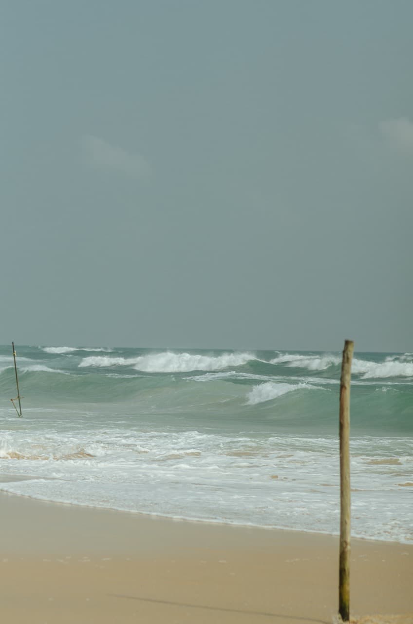 Превью Sri Lanka 2022